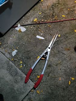 Garden scissors