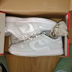 Nike Dunks Brand New 