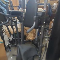 Hoist Vertical Knee Raise 