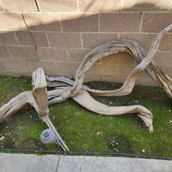 Reptiles Supplies/Merchandise