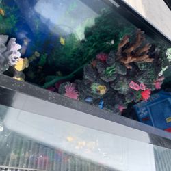 Large Fish Tank $20 