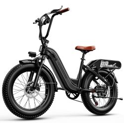 Electric Bike for Adults with Peak 1500W Motor, 48V 20Ah Removable Battery Fast Ebike,Max 70Miles & 30MPH,20" x4.0 Fat Tire Commuting Electric Mountai