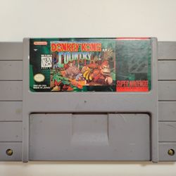 Original Donkey Kong Country Circa 1991