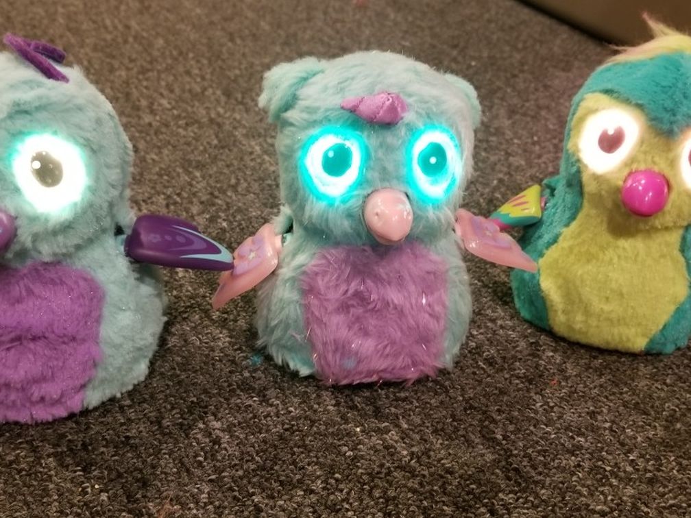 Hatchimals
