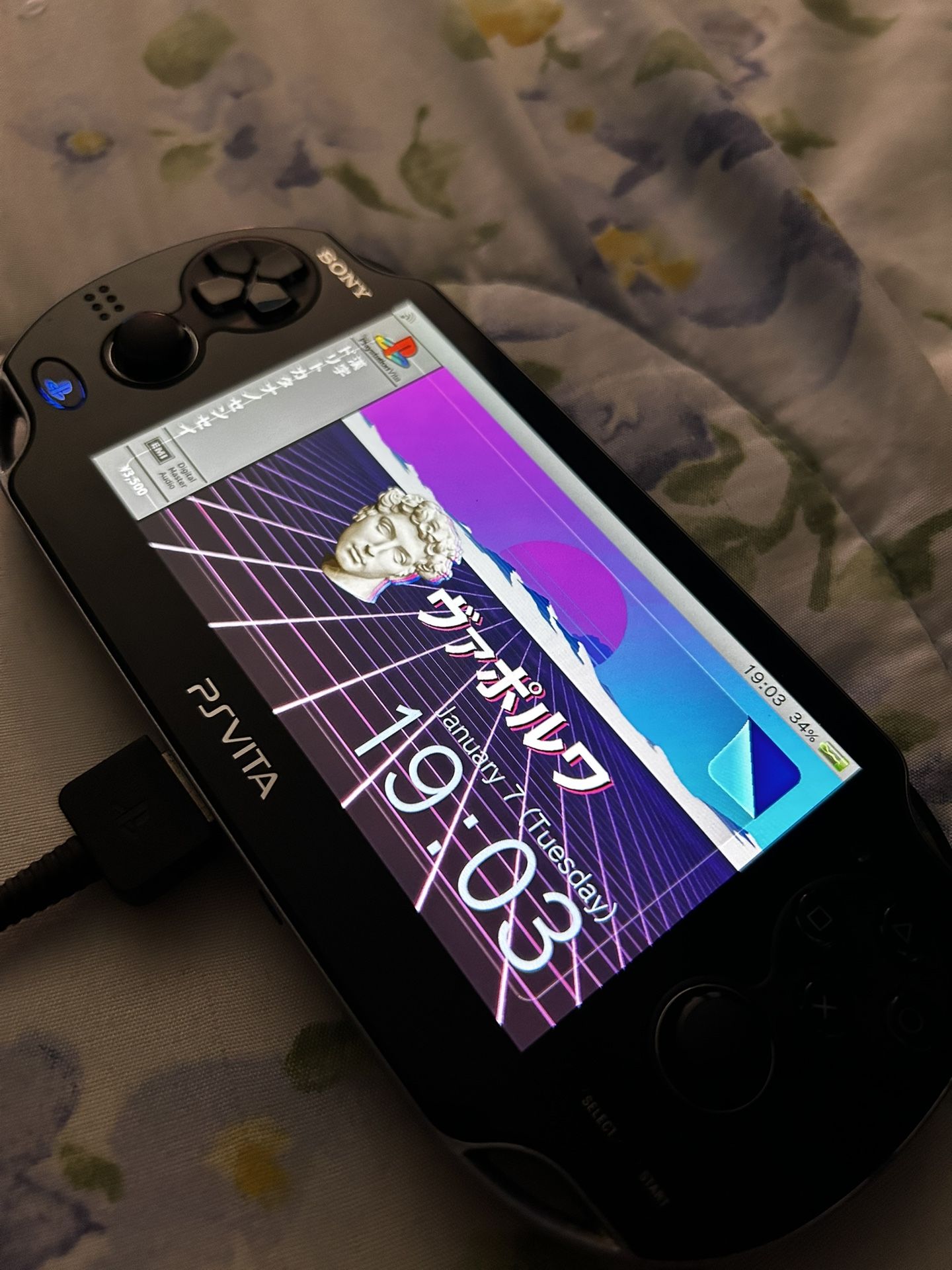 Modded PS Vita Oled (119 GB)