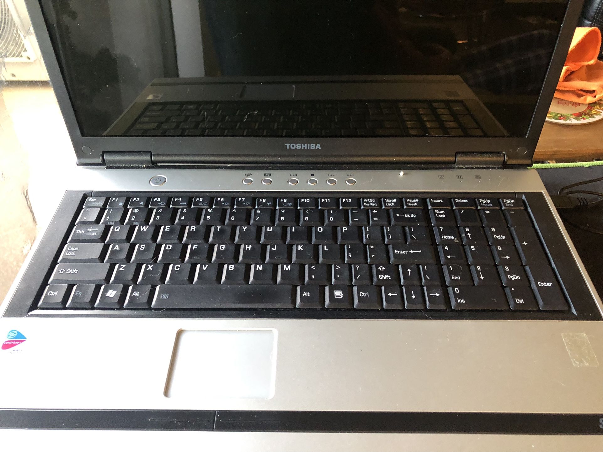 Toshiba Satellite Laptop