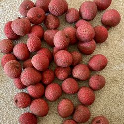 The Best Lychee 