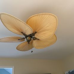 Beautiful Beige Fan