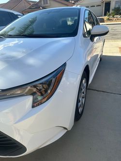 Toyota Corolla Sedan