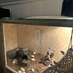 4x2x2 Enclosure With Built In WiFi Cameras 