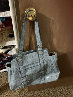 Blue purse