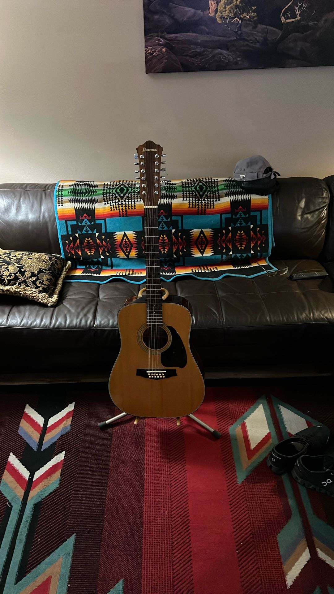 Ibanez 12 String Acoustic Guitar