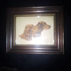 Original Lithograph Irish setter twins