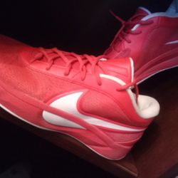 Giannis Freak 5's And Freak Jersey