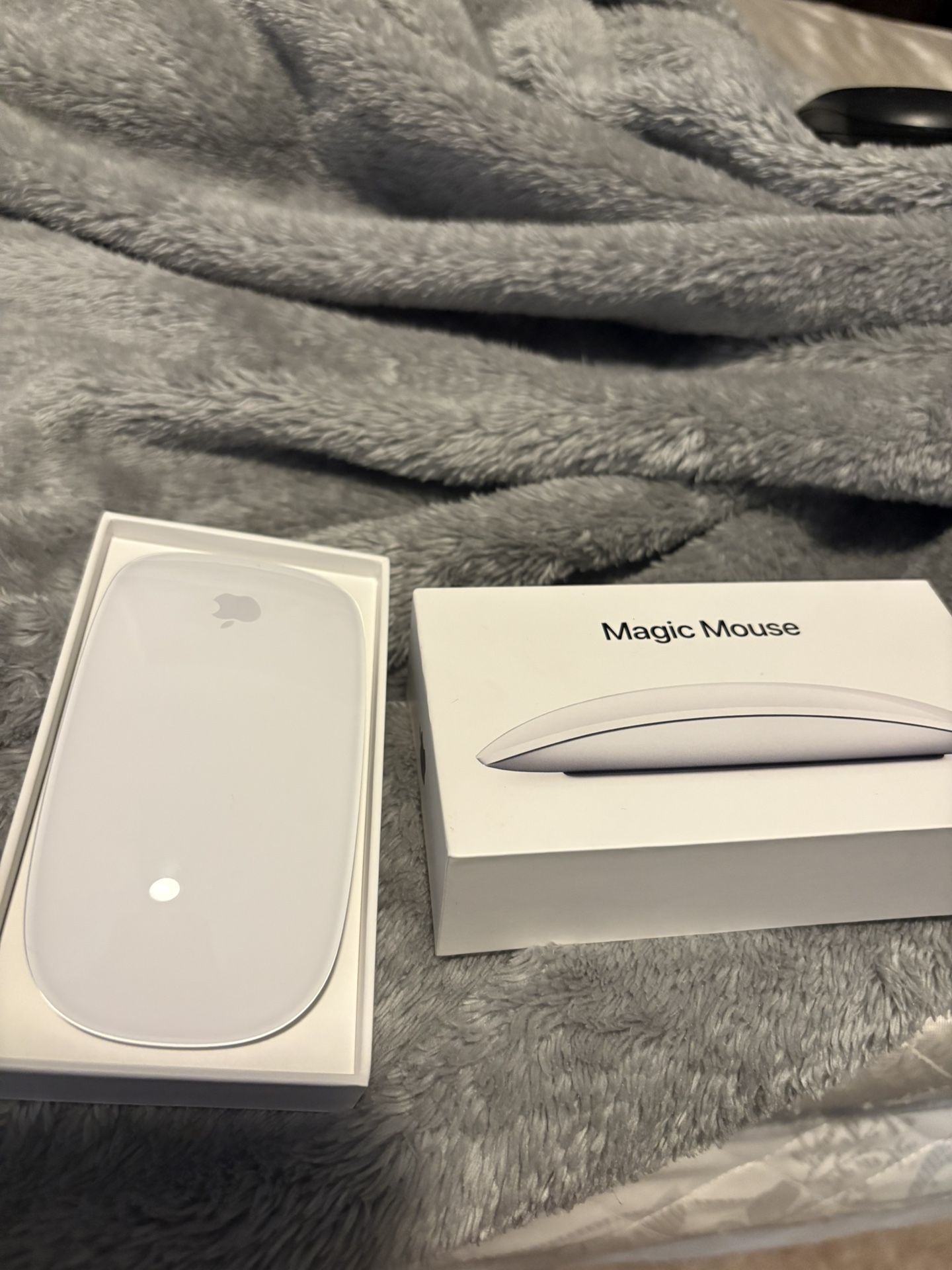 Magic Mouse 2