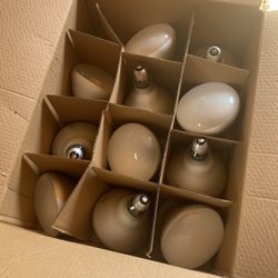 12 Bulbs Indoor Flood 