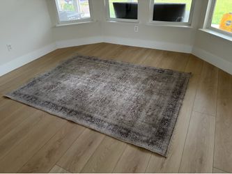 5 x 7 area rug