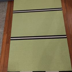 Hand-woven area rug (3x6.5 feet) in green