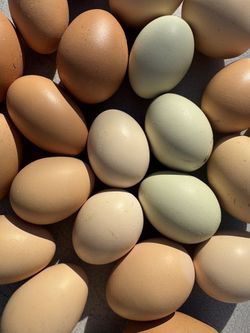 Eggs Farm Fresh