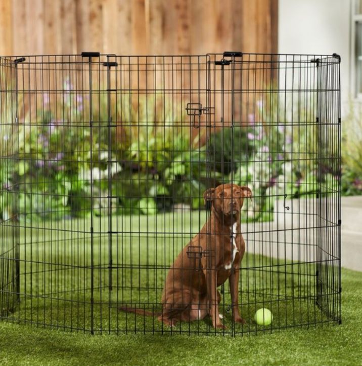 Dog Gate