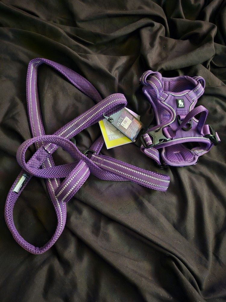 Dog Harness and Leash