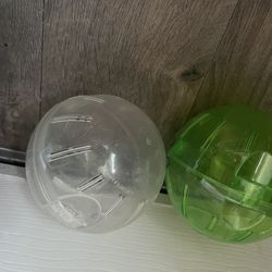 Hamster Ball