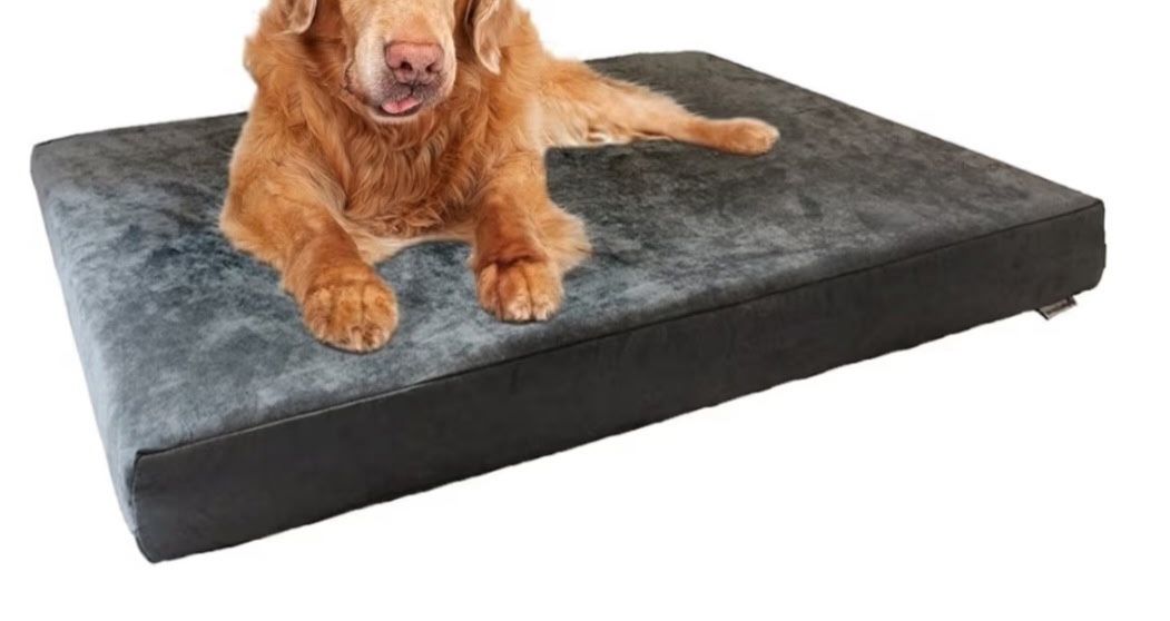 Large Dog Bed.