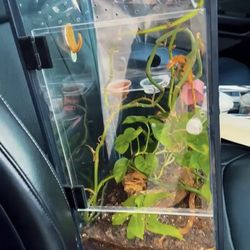 Tanks / aquariums/ terrariums