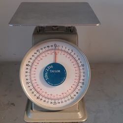 Taylor NSF 50lb Kitchen Scale