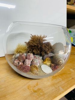 7.5” Round Beach Terrarium - 5.5”H