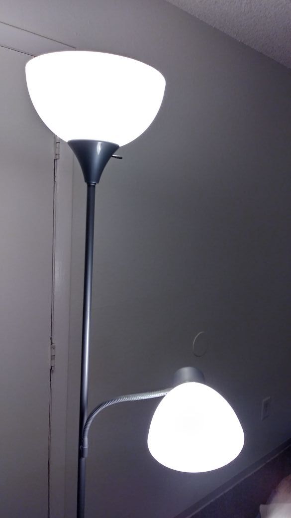 INTERTEK (3160822) FLOORLAMP W/READING LAMP