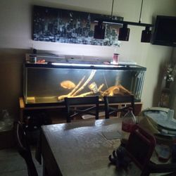 125 Gallon Fish Tank Aquarium 