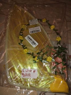 Yellow Fairy wings costume