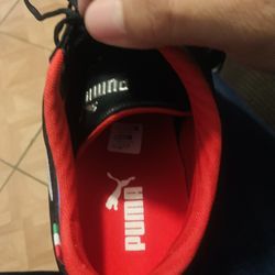 Puma  11.5 