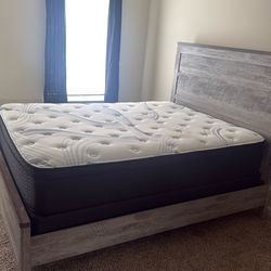 Bed
