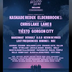 2 Gold Anytime Tickets for Sunday Tiesto We Belong Here (face Value)