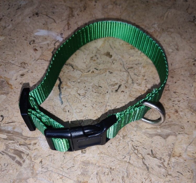 Used Medium Size Dog Collar