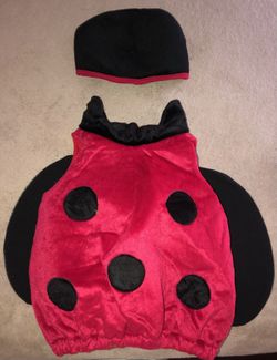 Halloween Costume Lady Bug size 1-2 toddler