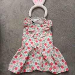 Dog Easter Dress