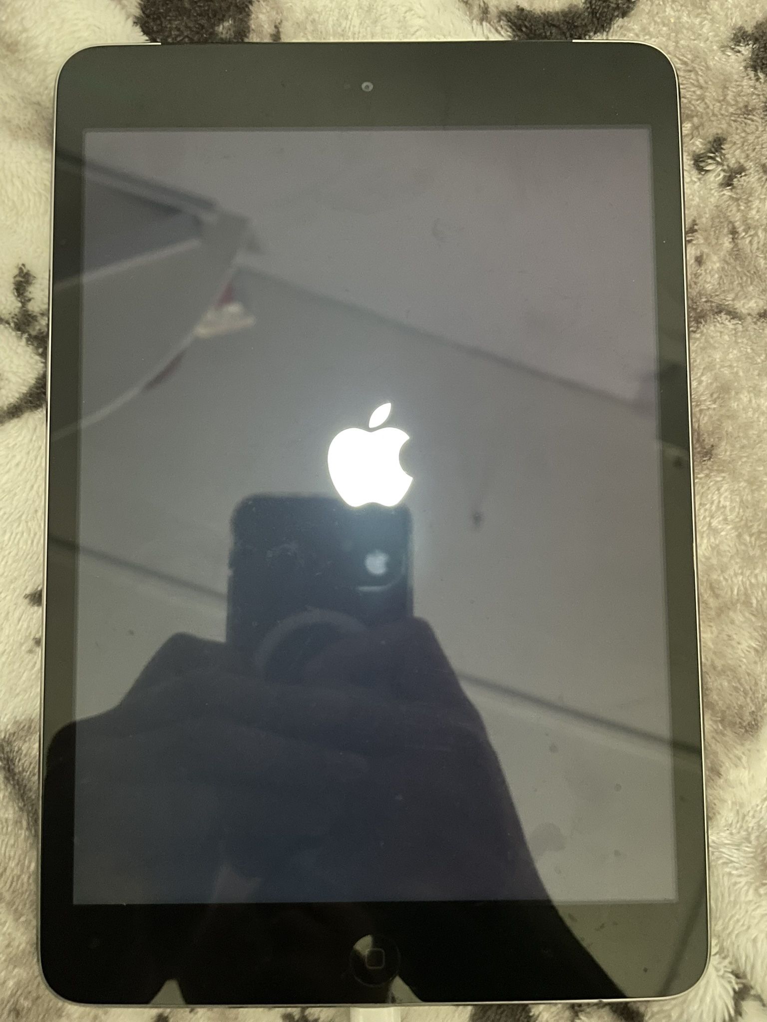 iPad Mini