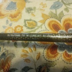 Fishing Pole Daiwa Saltiga 70 MB