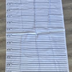 Mugshot Backdrop Photo Booth Banner Police Lineup Height Charts Photo Props Background Accurate Measurements Poster for Bachelorette Gir