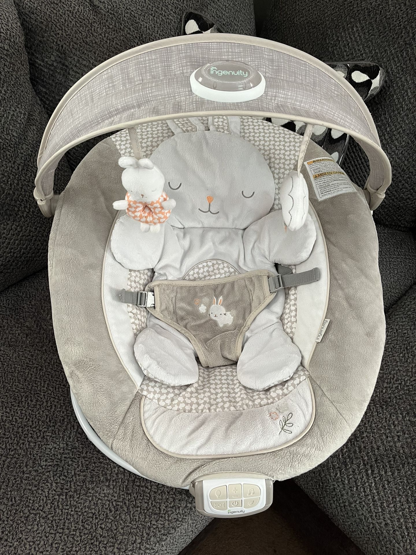Ingenuity Bouncy Seat