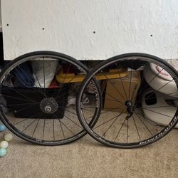 Bicycle Wheels 
