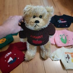 Adorable Bear with knitted sweaters for every month