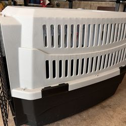 Dog Kennel