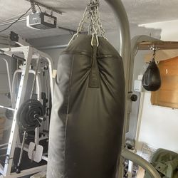 Gym Equipment 