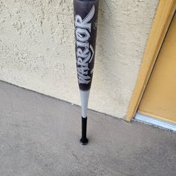 Baseball Bat 34 Inch