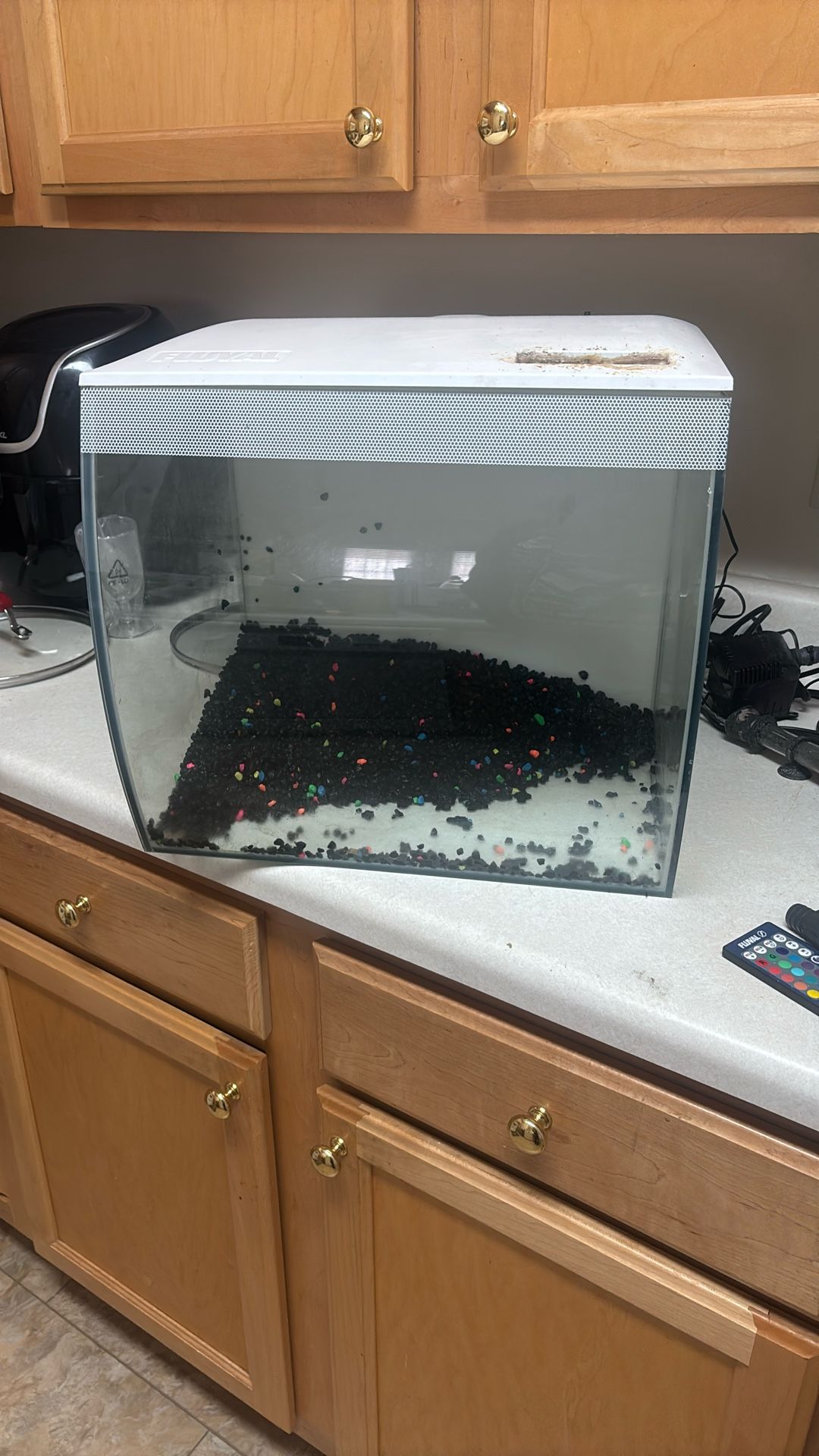 Fluval 15 Gallon Aquarium