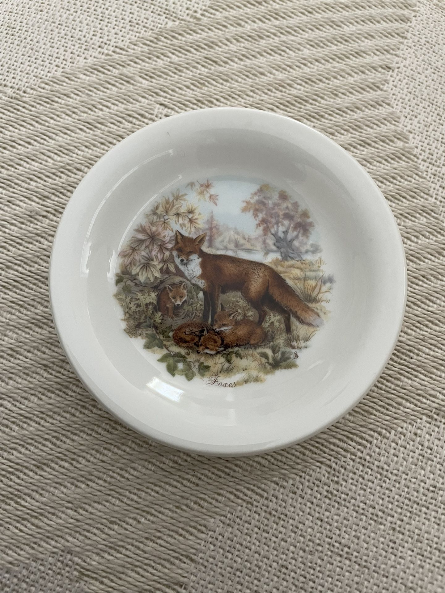 Fox Plate – Spirito Porcelain, Scene Of A Fox Family, Excellent Condition